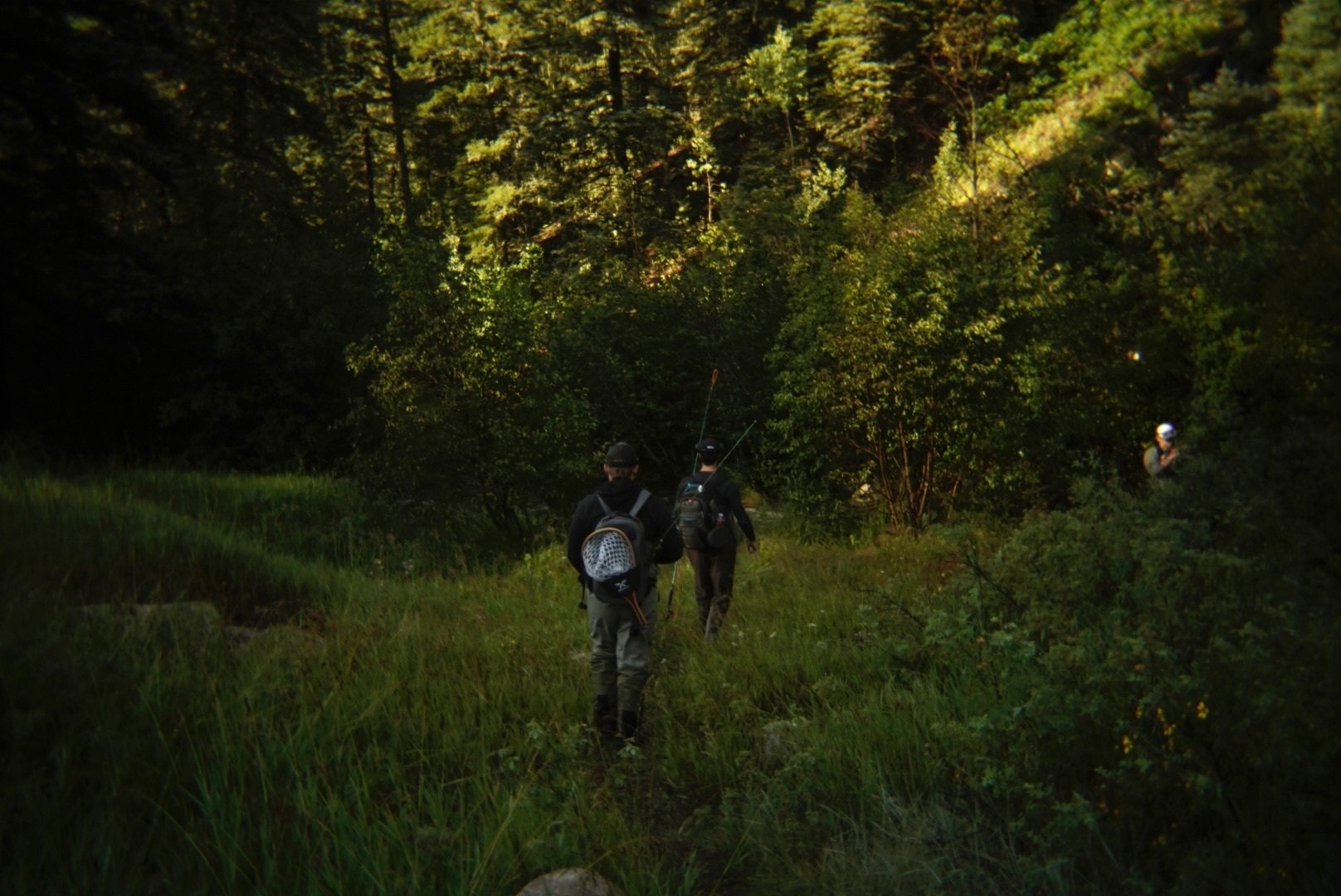 Elk Mountain Overlanding & Pecos River Fly Fishing