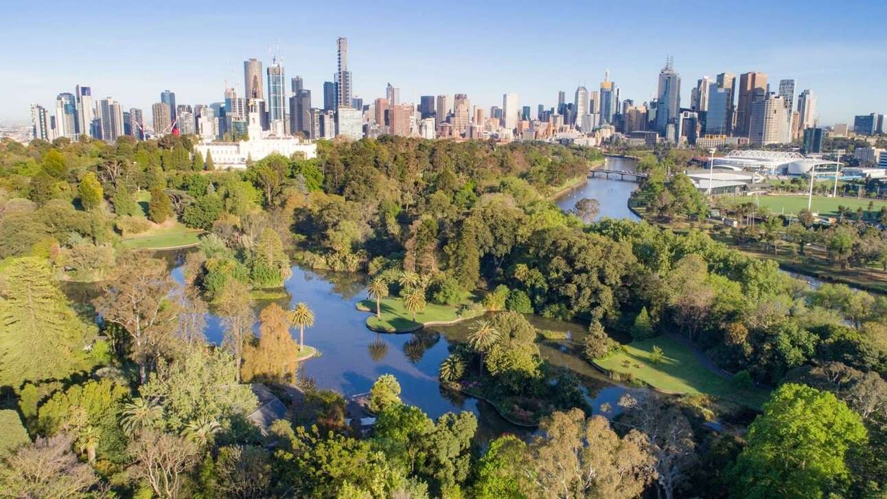 Paws and Explore: Top Dog-Friendly Spots in Melbourne's Heart