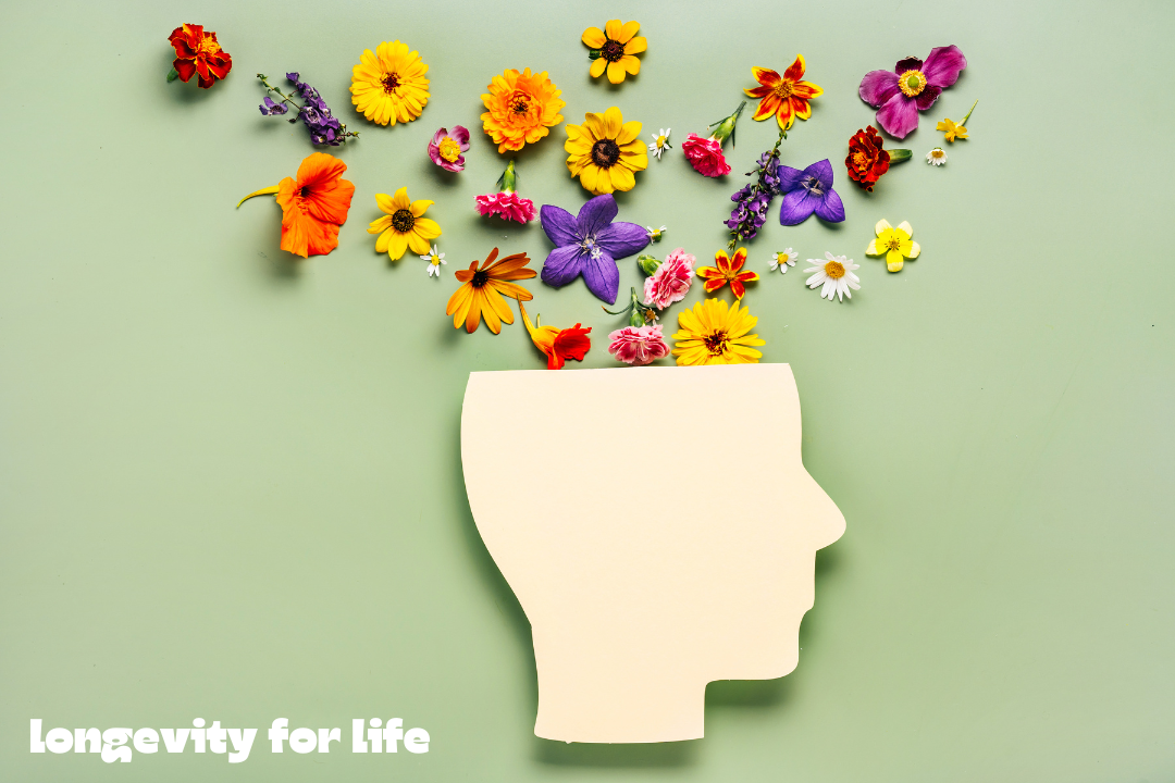Unlock the Secrets to a Long, Healthy Life: Brain, Body, and Beyond
