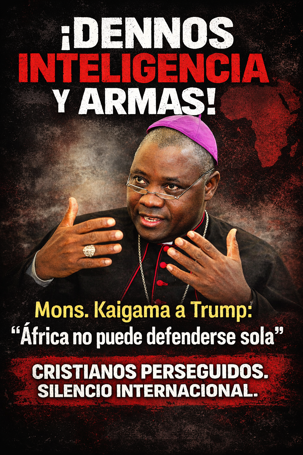 SOS Nigeria: "dennos informes de inteligencia y armas"