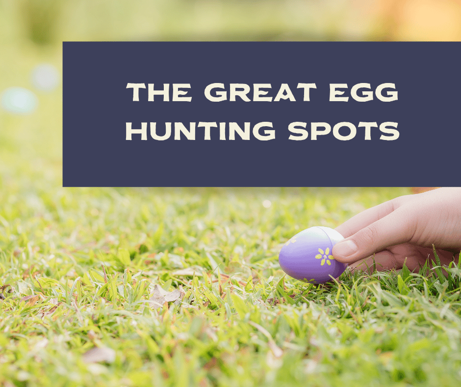 🌵 The Great Egg Hunt Guide