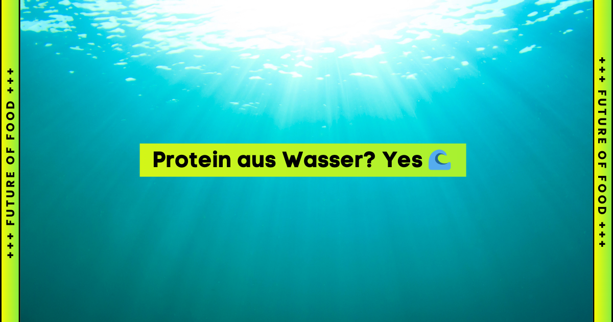 Protein aus Wasser? Yes 🌊