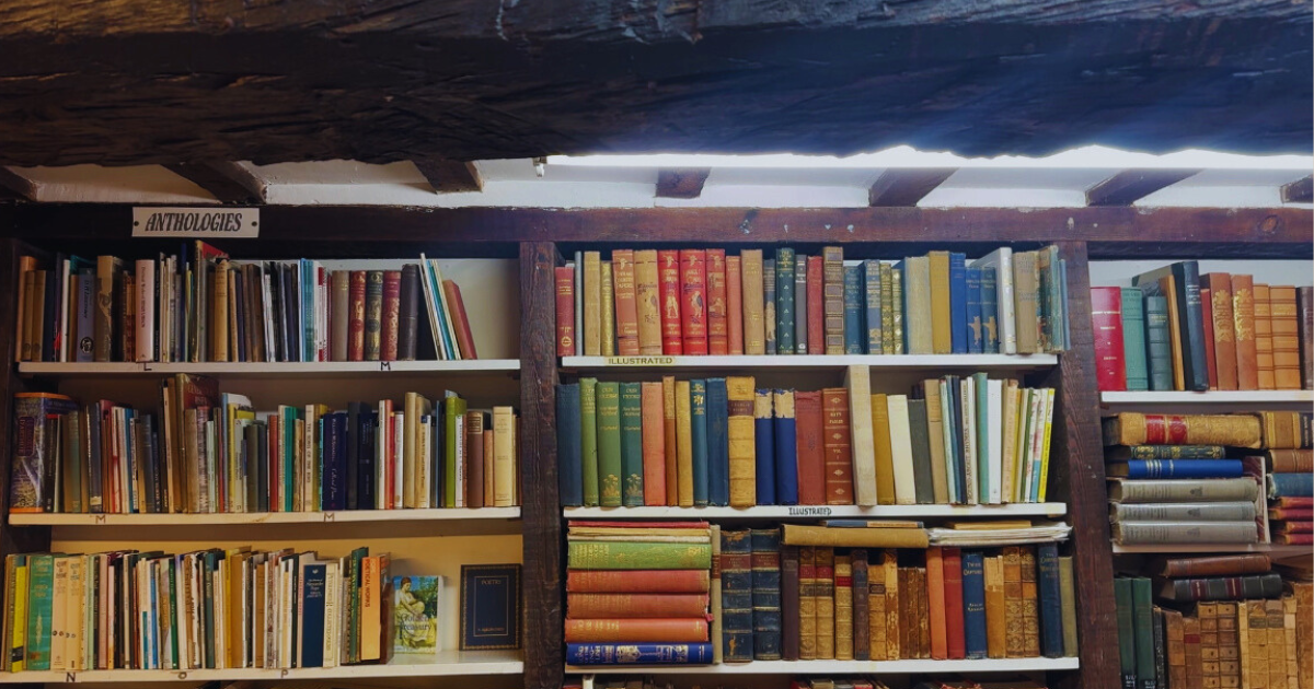 Visualising, Violating, and Humanizing Scholarship 