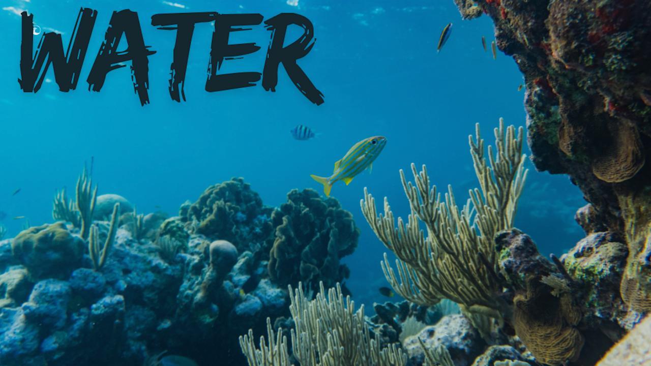 🌊 Water’s Flow — The Depth of Emotion