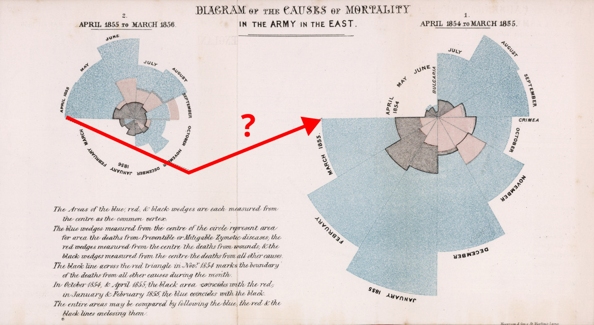 🪷The Pond #2 : Be unfrogettable