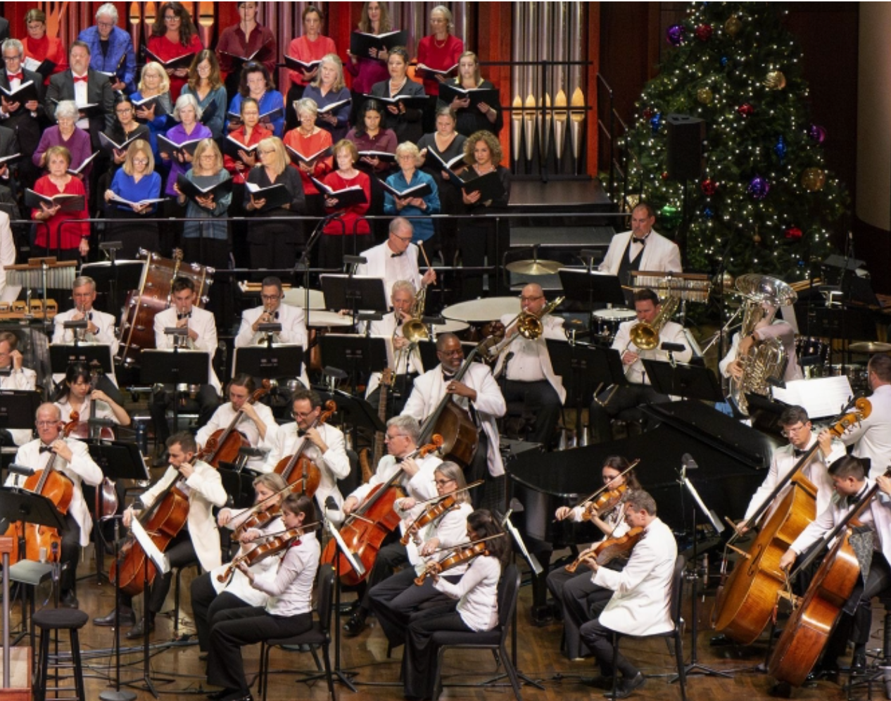 Festive Fun Awaits + A Large Coffee on Us 🎄 + Your Response Needed