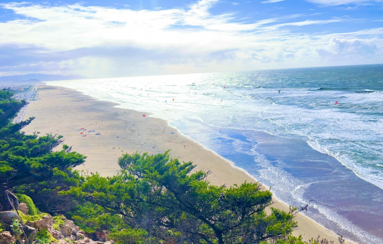 Balboa Village: Best neighborhood in THE CITY?!