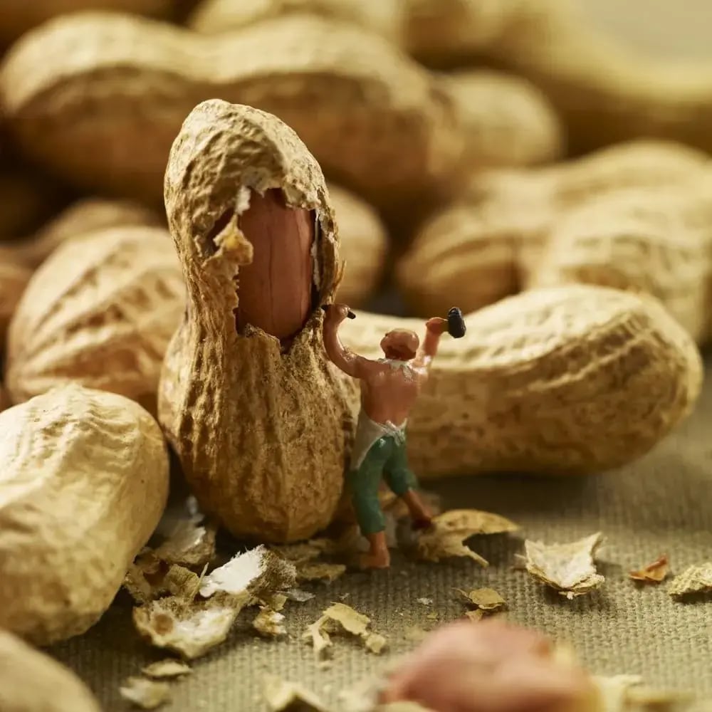 Deliciously Miniature Food Moments
