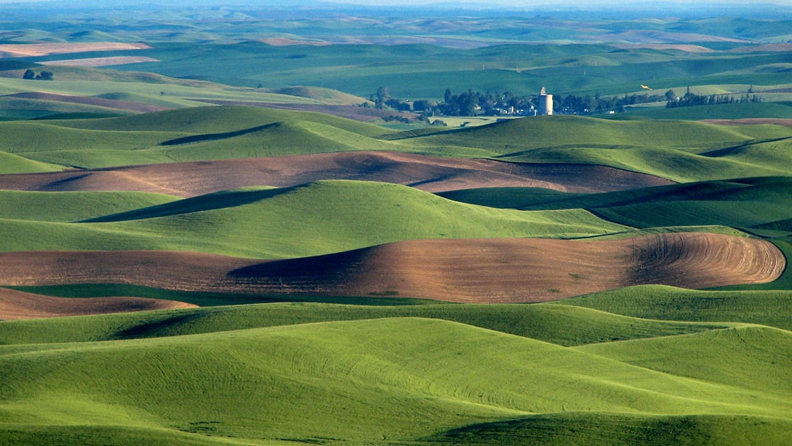 Exciting new events in the Palouse