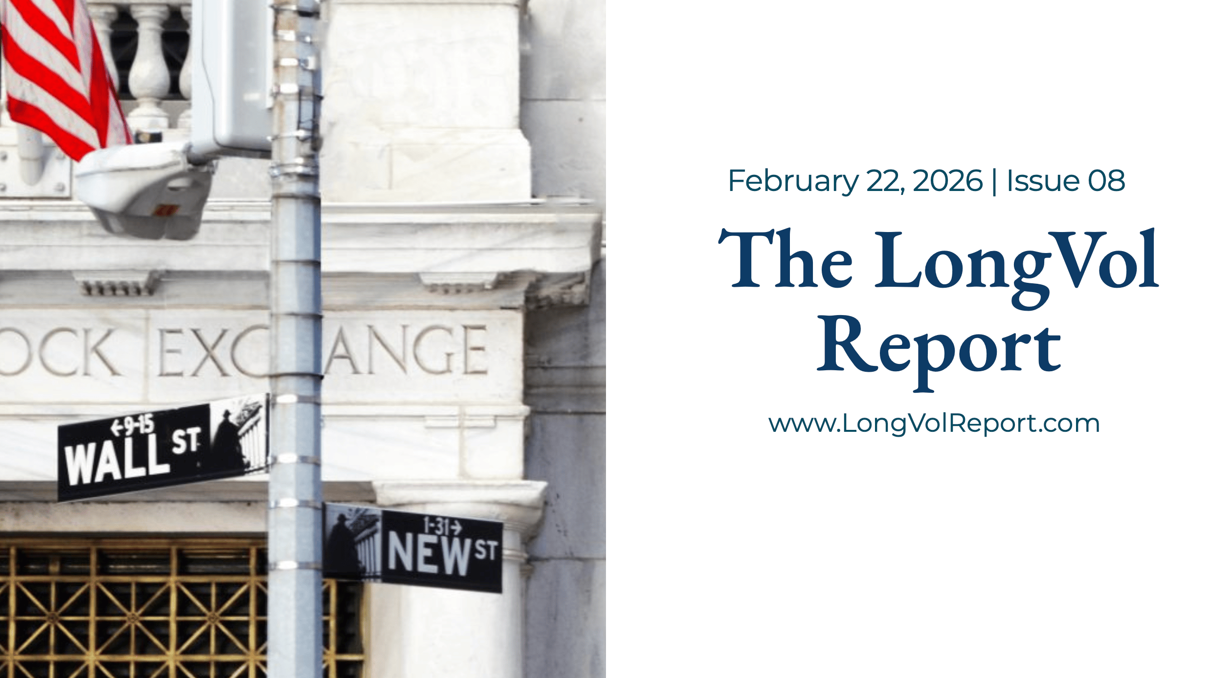 LongVol Report Newsletter 8