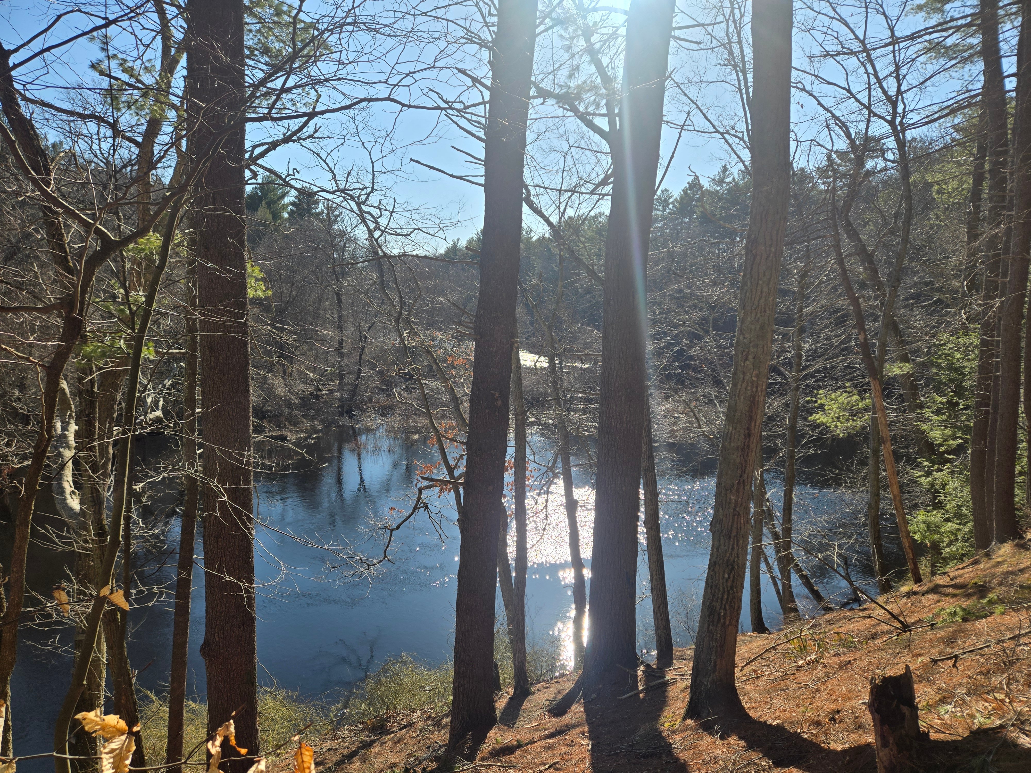 #AcademicRunPlaylist - 3/26/26