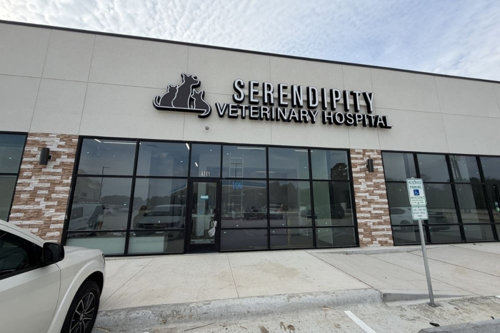 HTX-CYP: Impact 3/12/2026