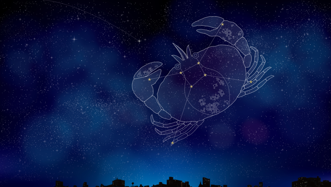 The One Thing Your Heart Keeps Whispering Under Every New Moon