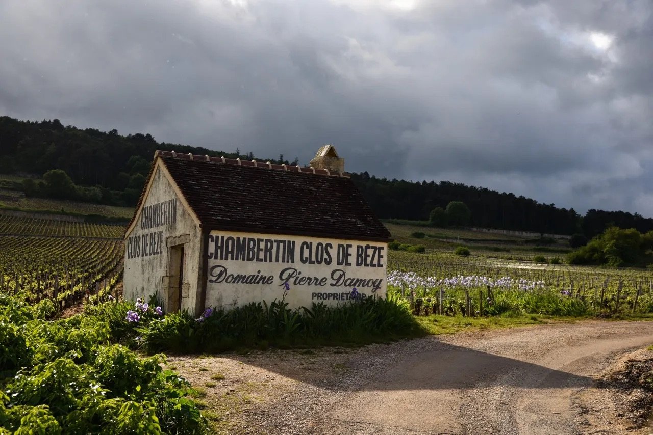 Field Notes | Burgundy