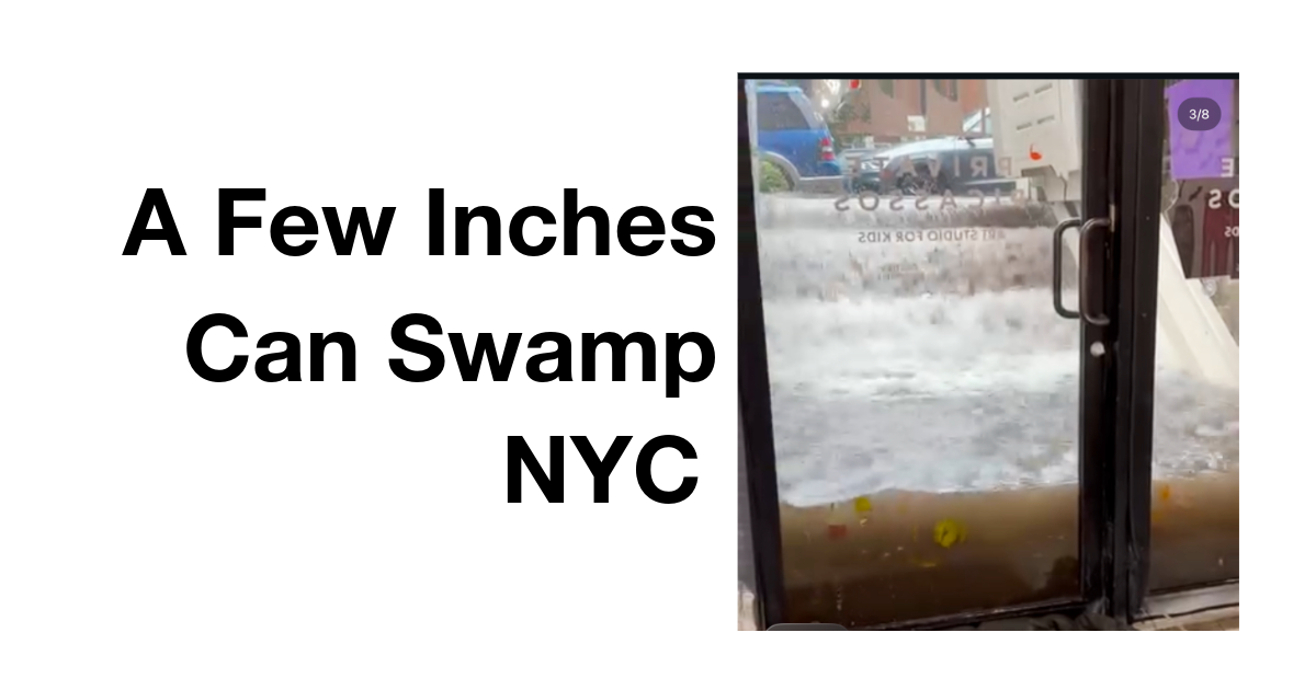 A Few Inches Swamp NYC