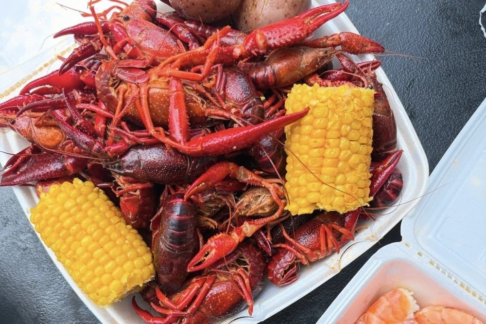 HTX-CYF: Impact 2/10/2026