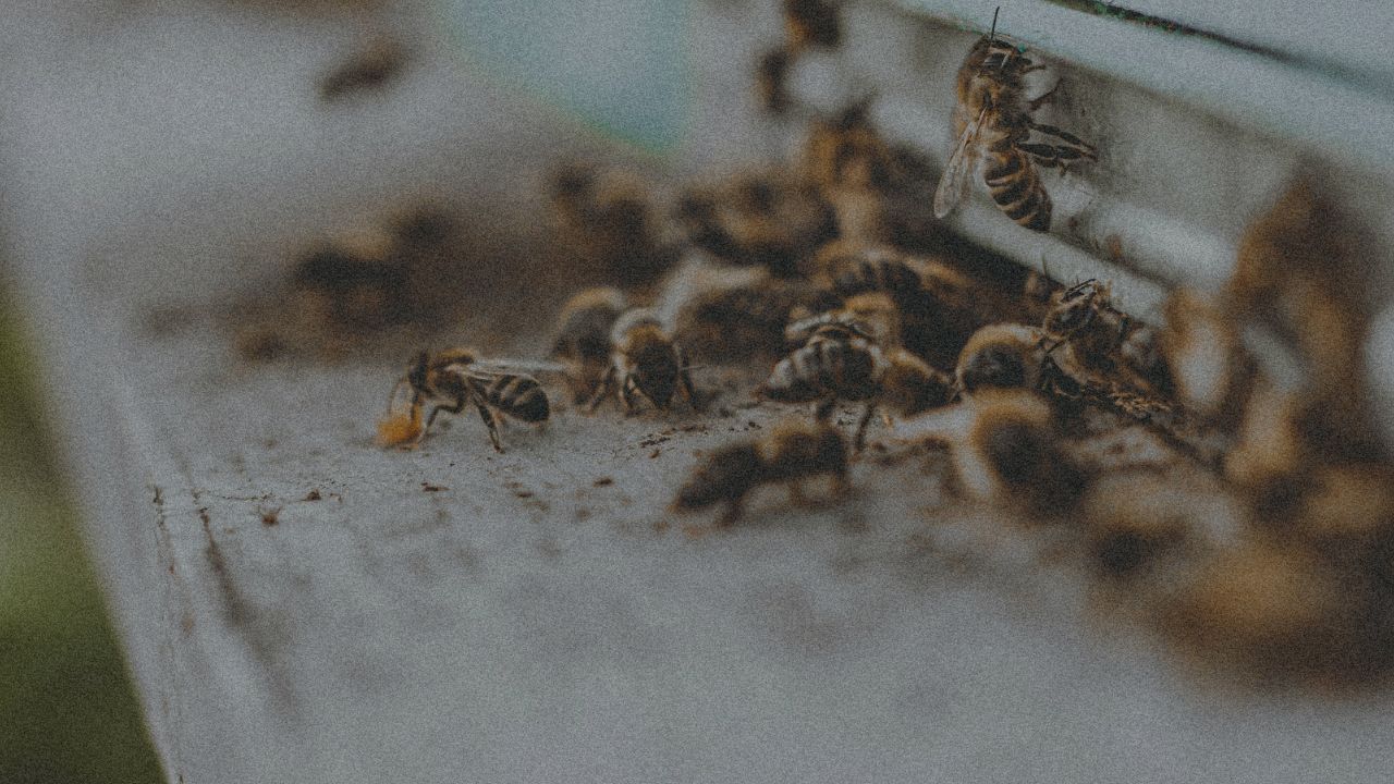 How to Start Anything