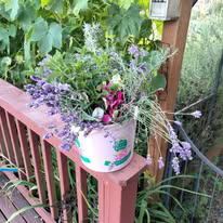 Linda Be Learning Newsletter