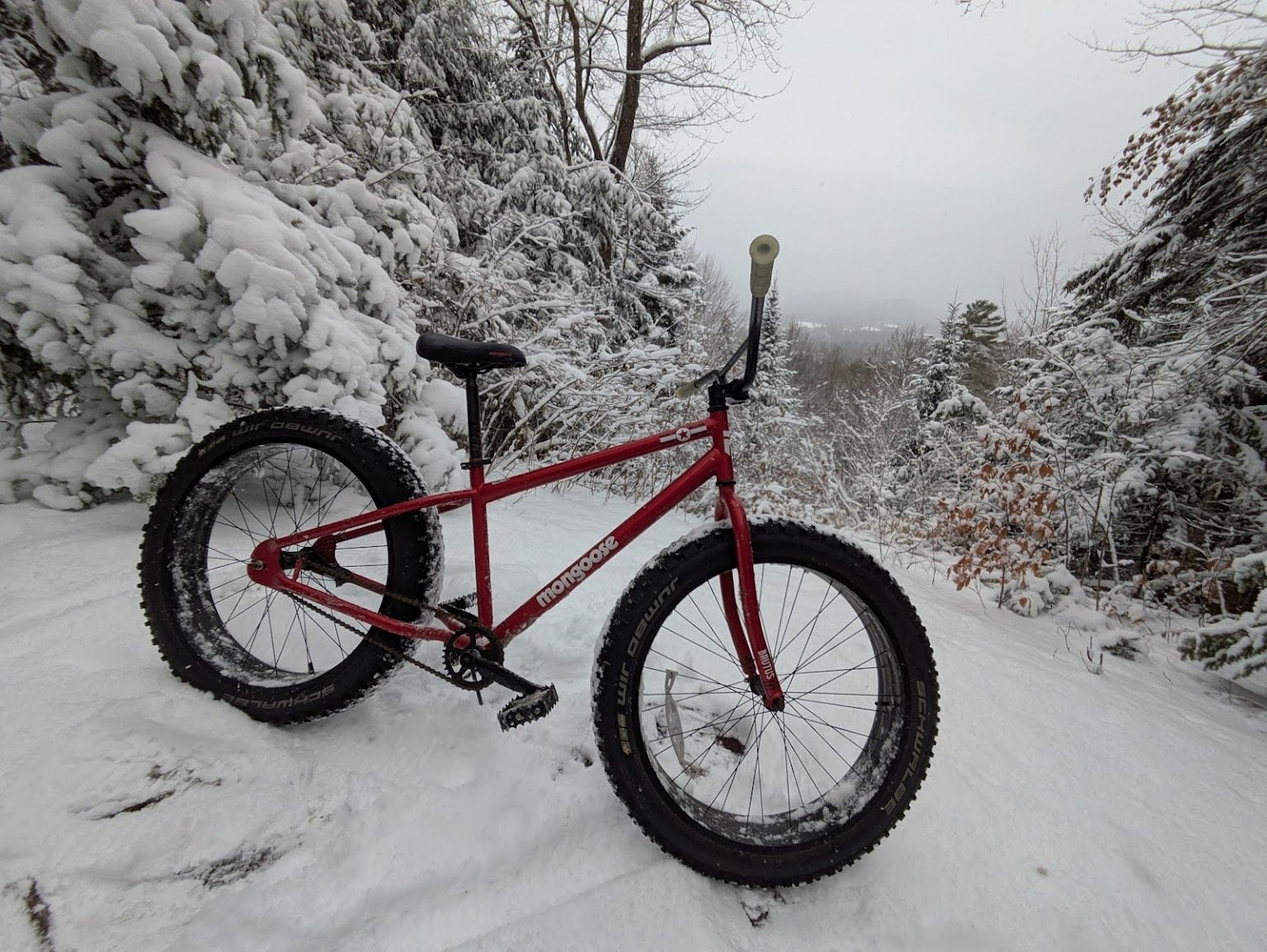 The Recliner of Bikes: Why Fat Bikes Trade Aesthetics for Utility