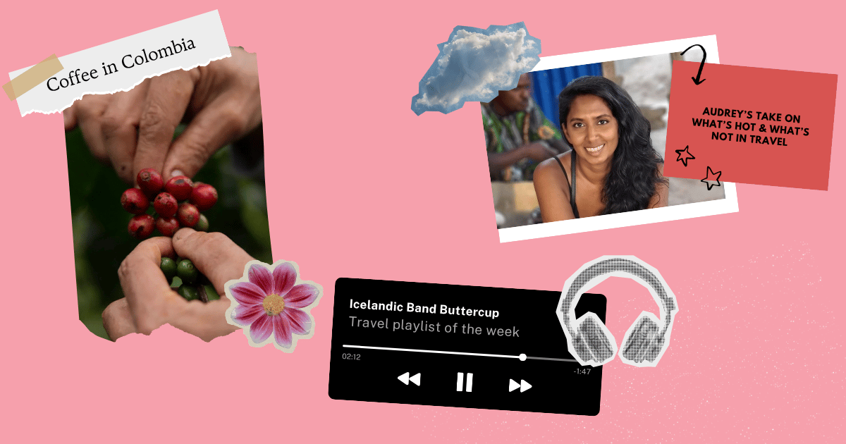 Vegan Hospitality 🥗