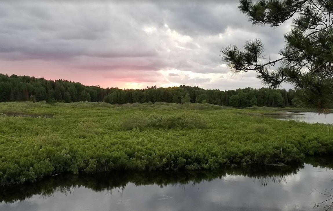 The Friday Five - Leadership Edition