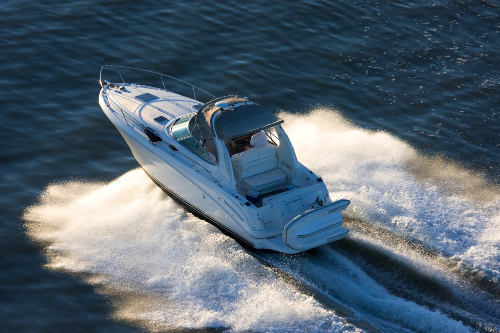 🛥️ Rate Cuts Rock the Boat