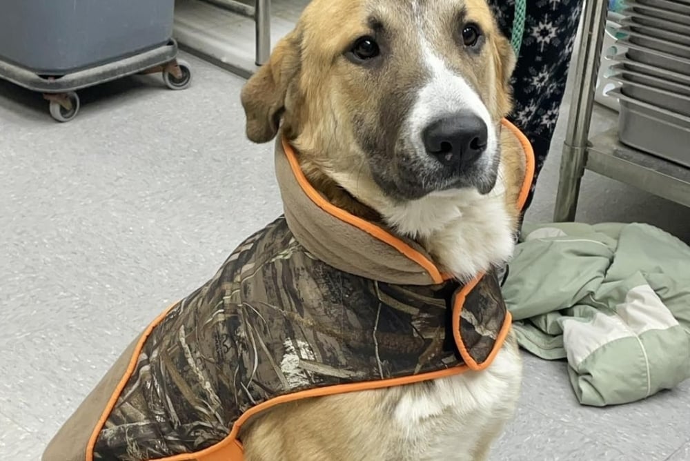 ATX-BAS: Impact 12/10/2025