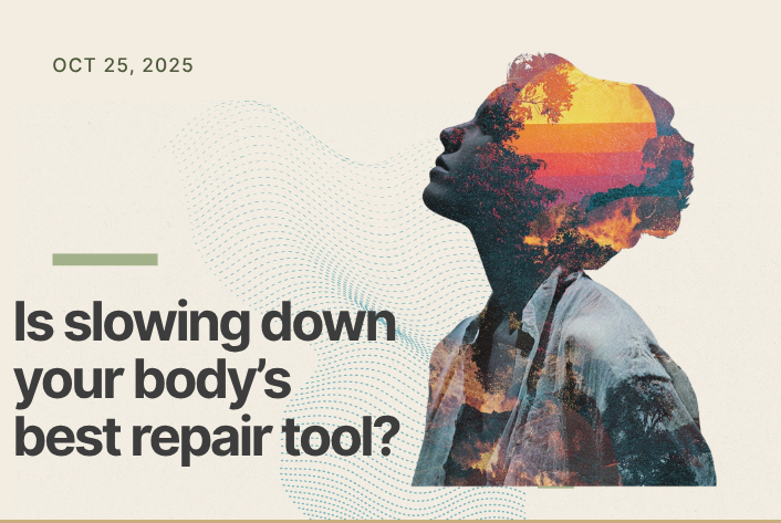 Feeling the slowdown? It’s your body’s repair season.