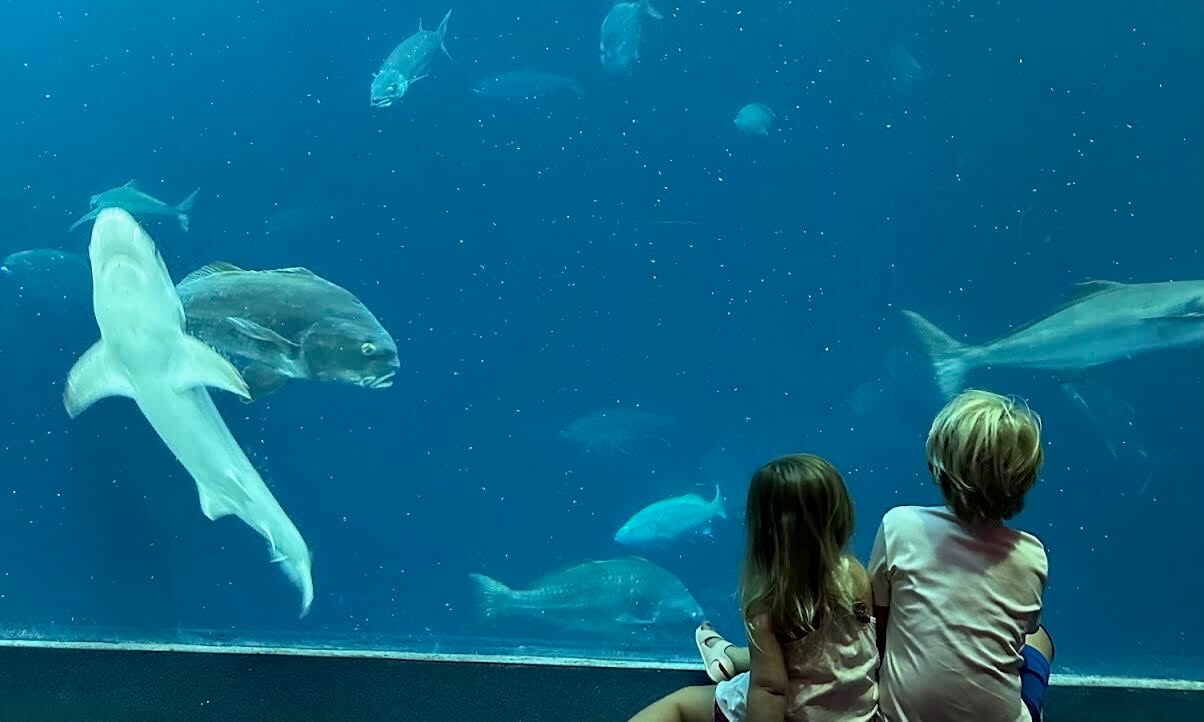 🌴 The Aquarium, Second Sunday, Date Night and Building Your Own Village 