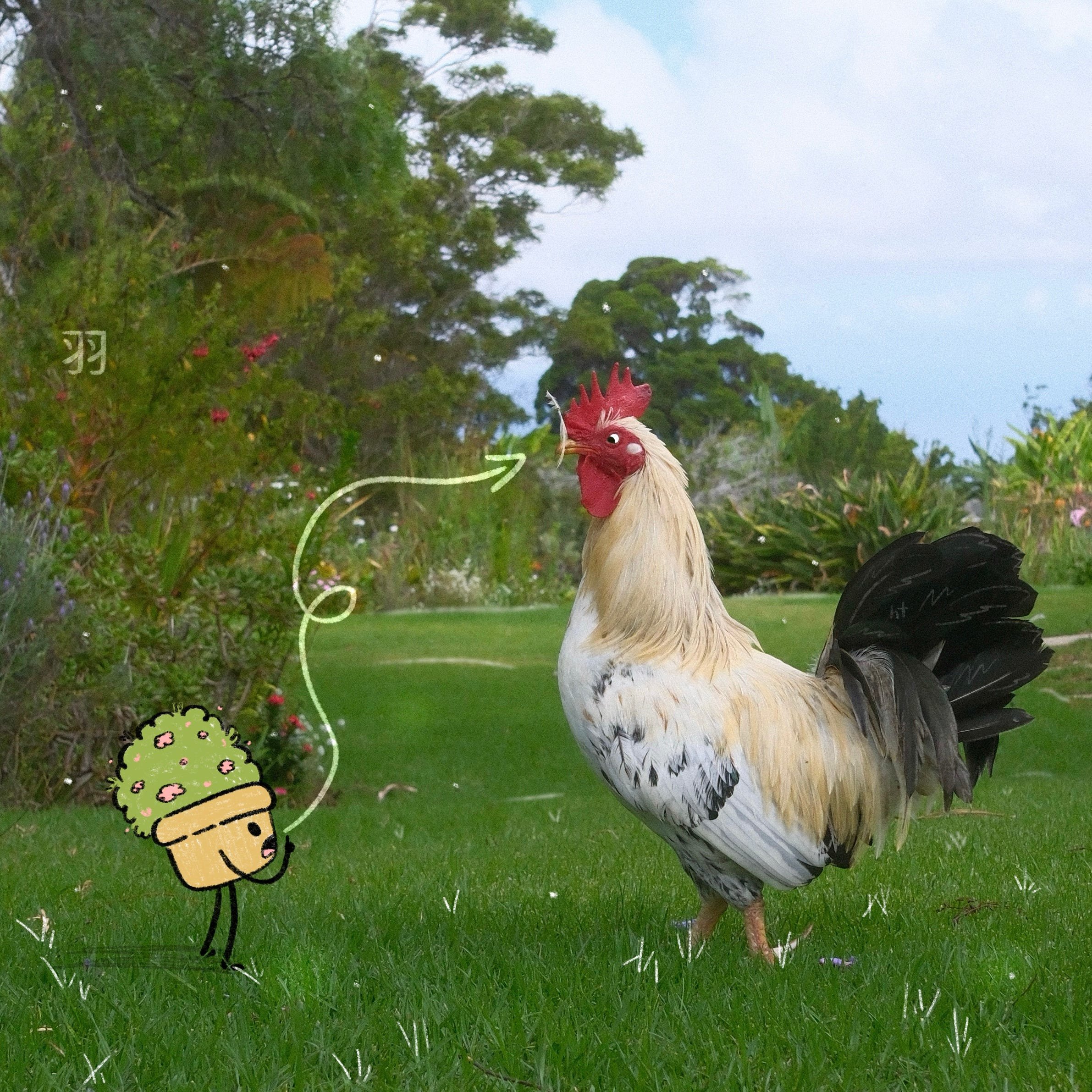 feather -- pebble prose