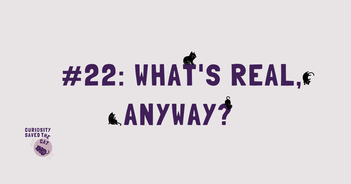 #22: What’s Real, Anyway?