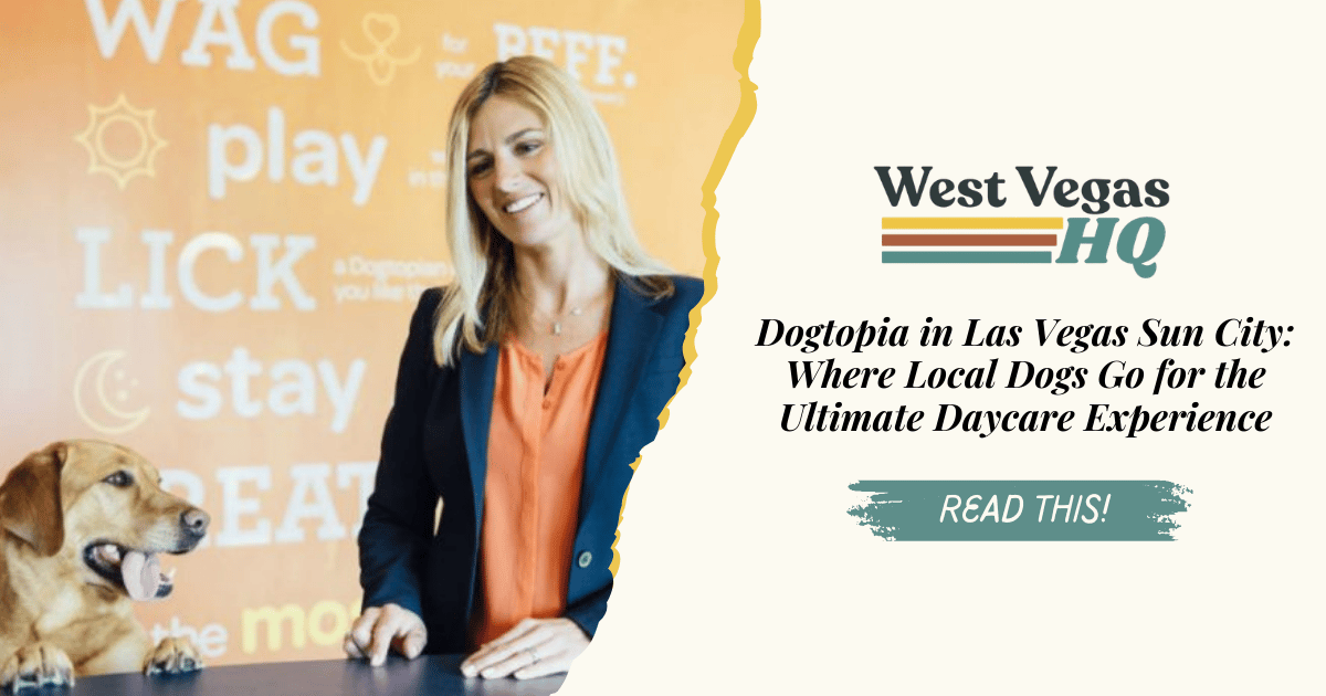 Dogtopia in Las Vegas Sun City: Where Local Dogs Go for the Ultimate Daycare Experience