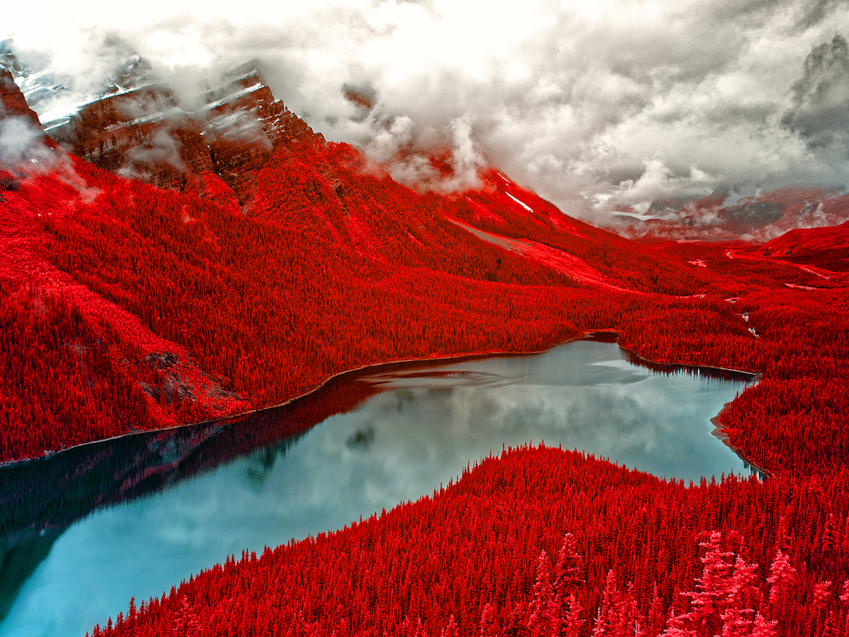 Kolari Vision’s Infrared Photography Contest