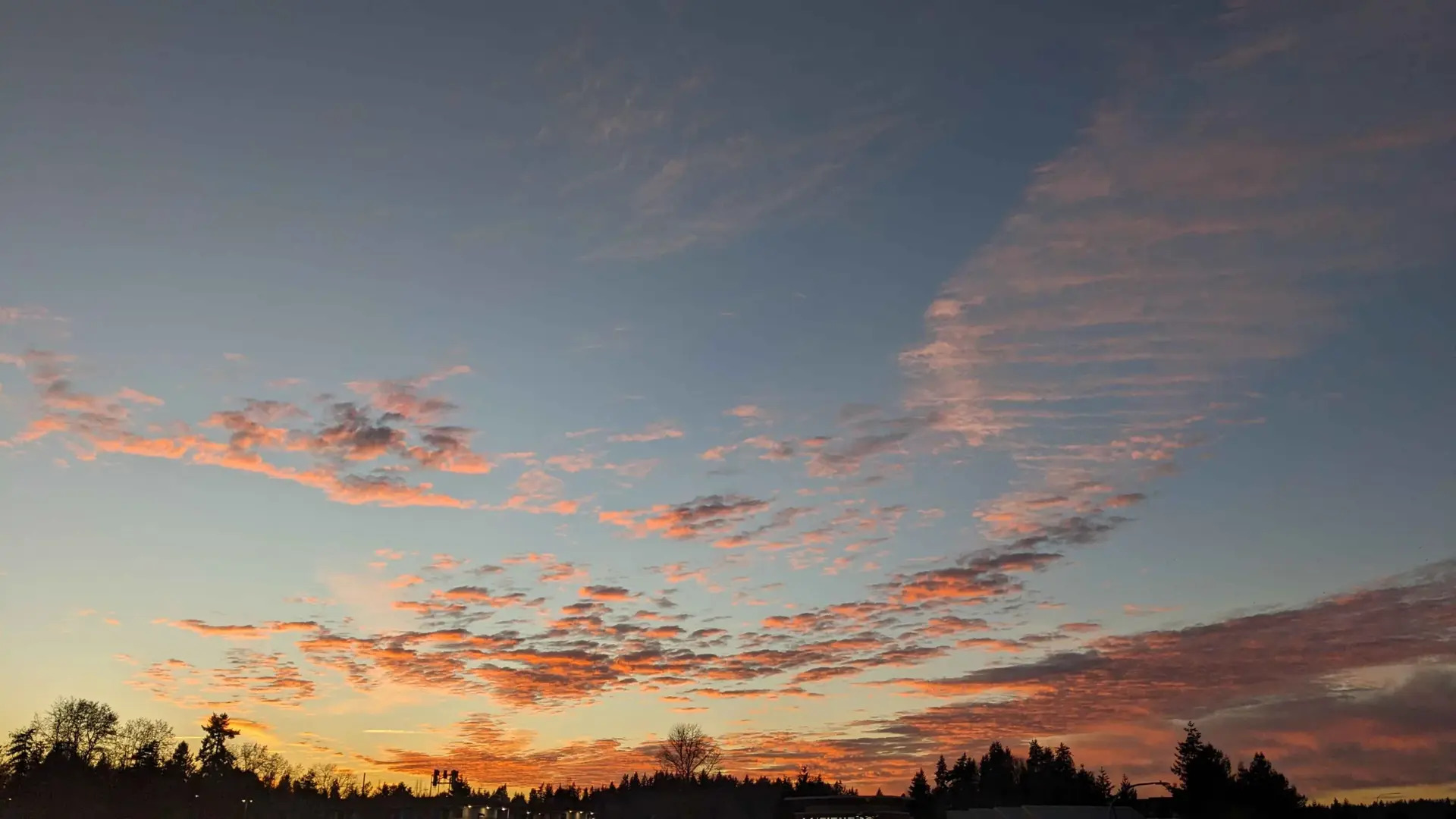 Liveable Kirkland Newsletter 01/11/26 