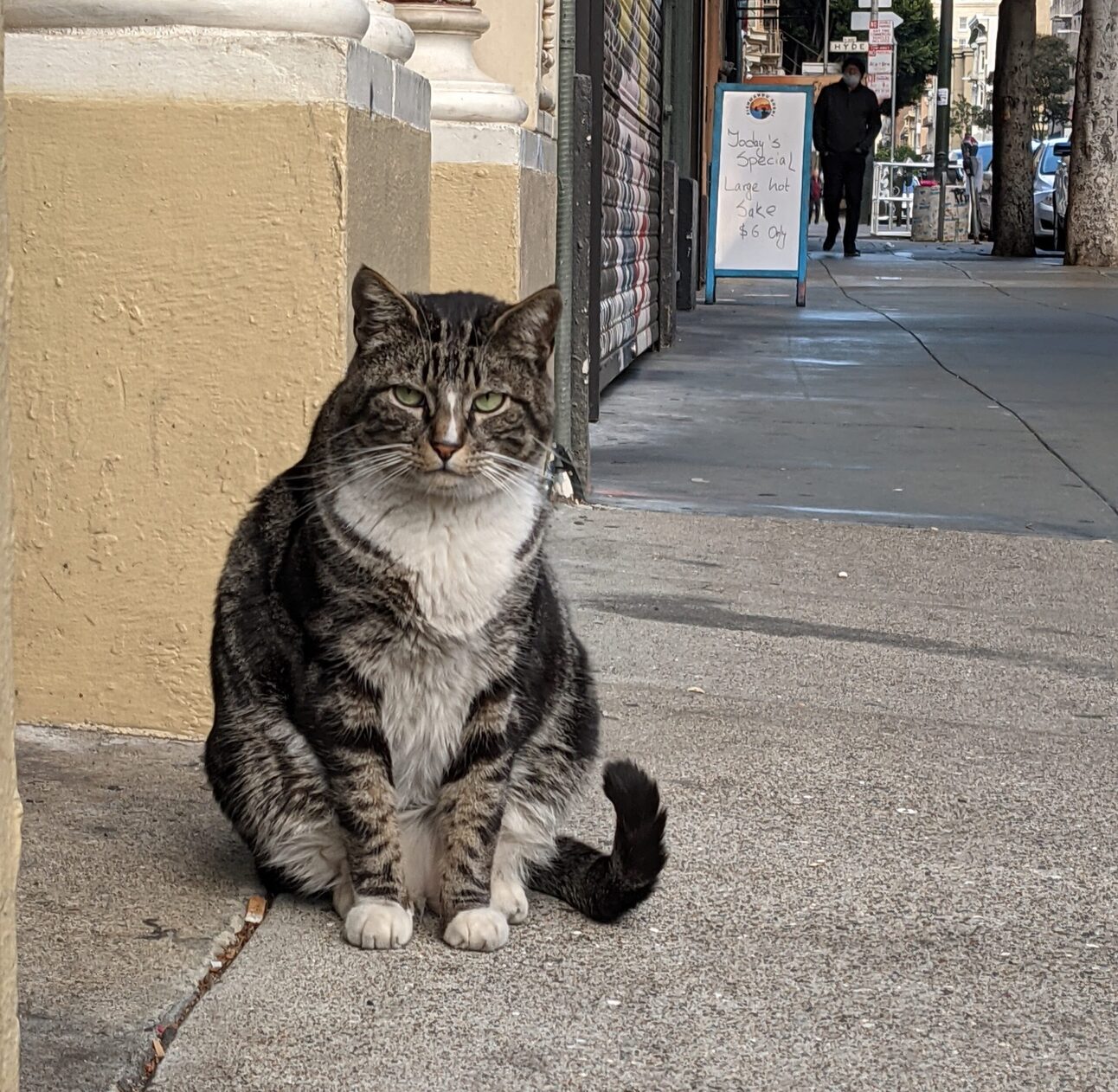 A Beloved Bodega Cat Gets a Memorial in the Tenderloin