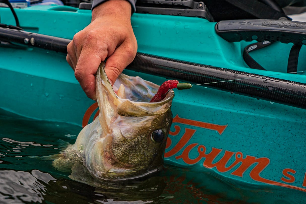 April 8, 2026 • Best Spinning Rod And Reel Combos + Unconventional Lures + Types Of Bass