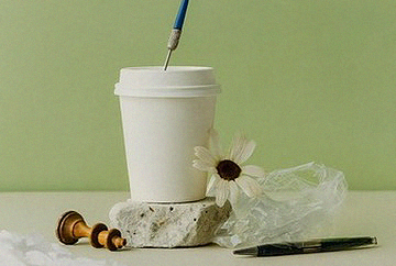 Being the Sustainability Police