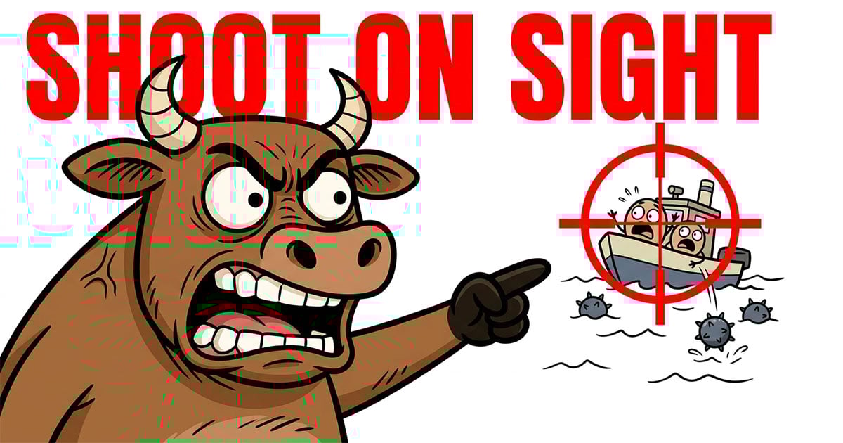 Shoot to Kill: Navy's New Rule 🔫