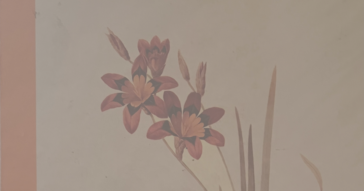 "My Watch Is Over... Now What?"