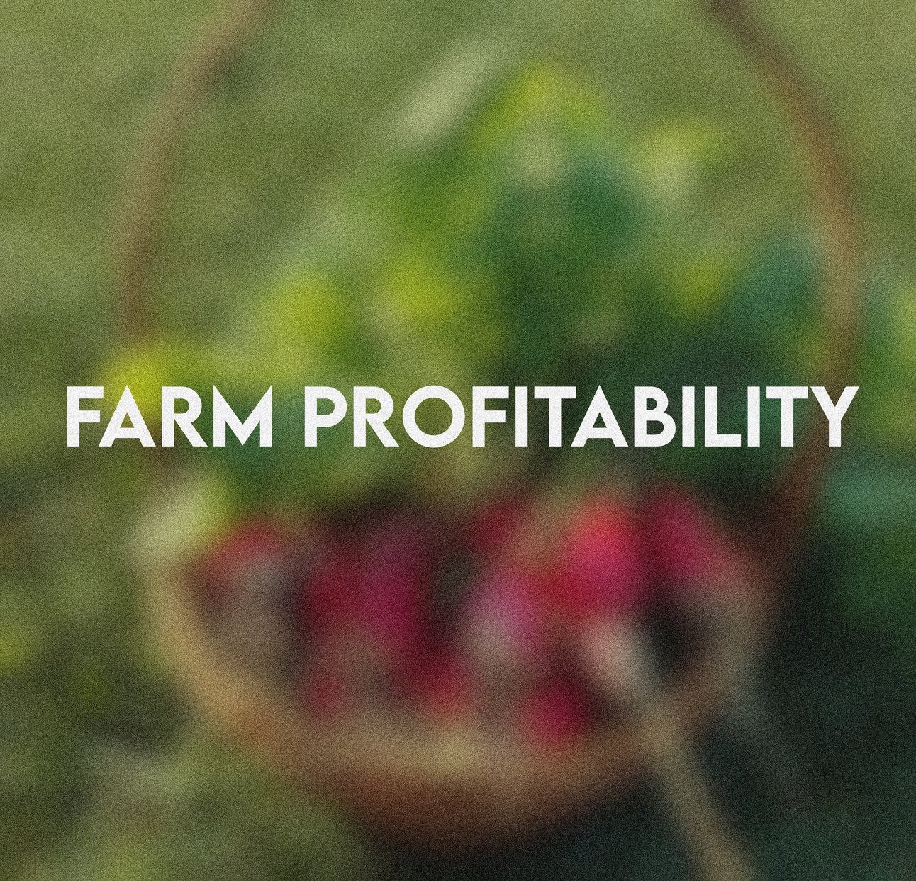Farm Profitability