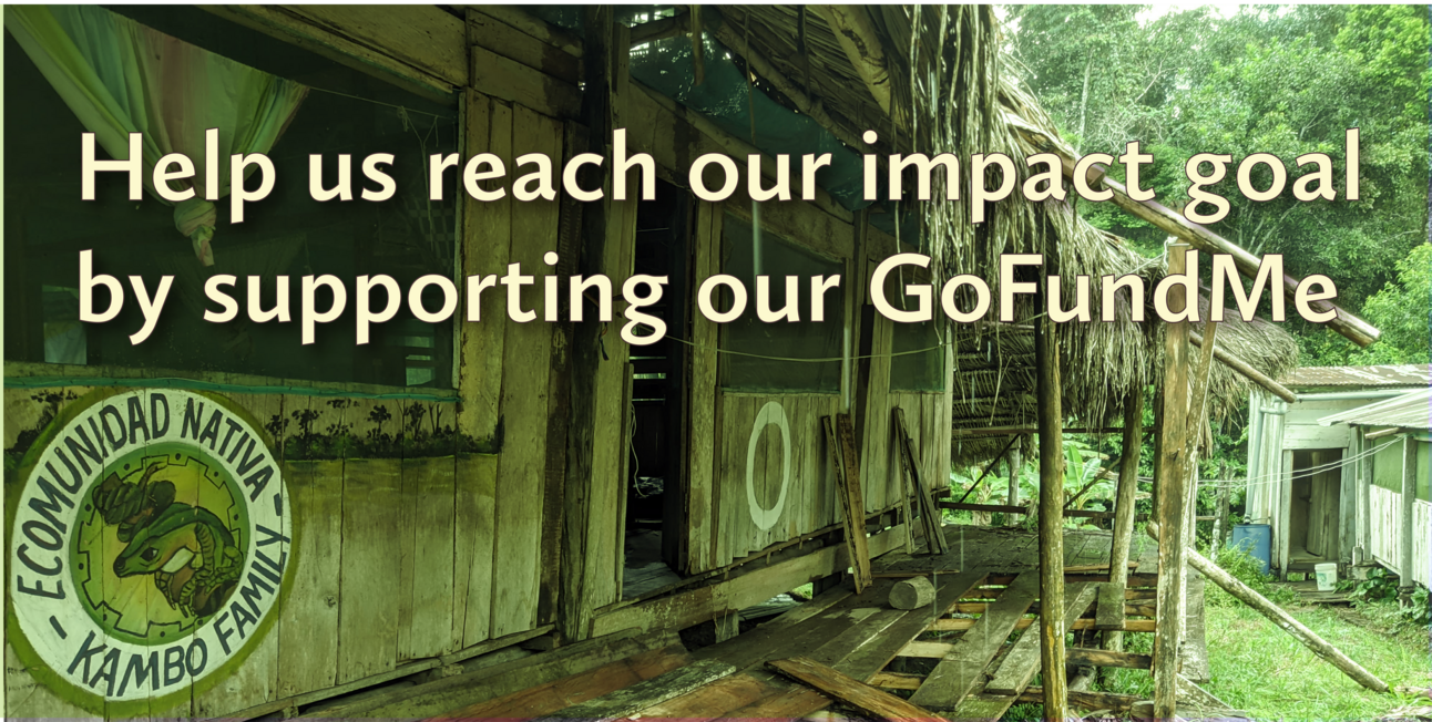 🌿 A Direct Call for Help: Let’s Support Uli & Ecomunidad Nativa Kambo Family