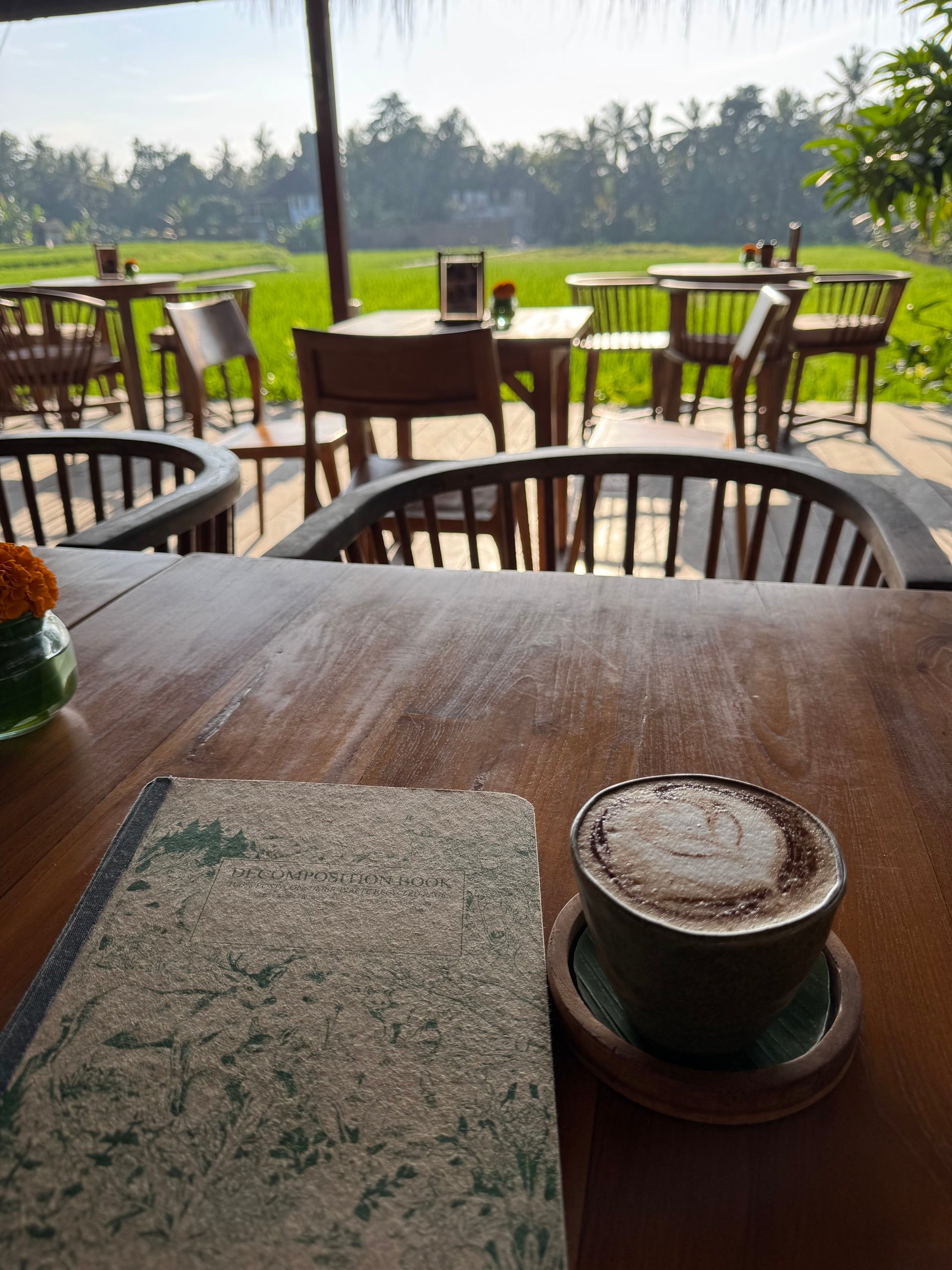 A Peak Into my Journal ✍️