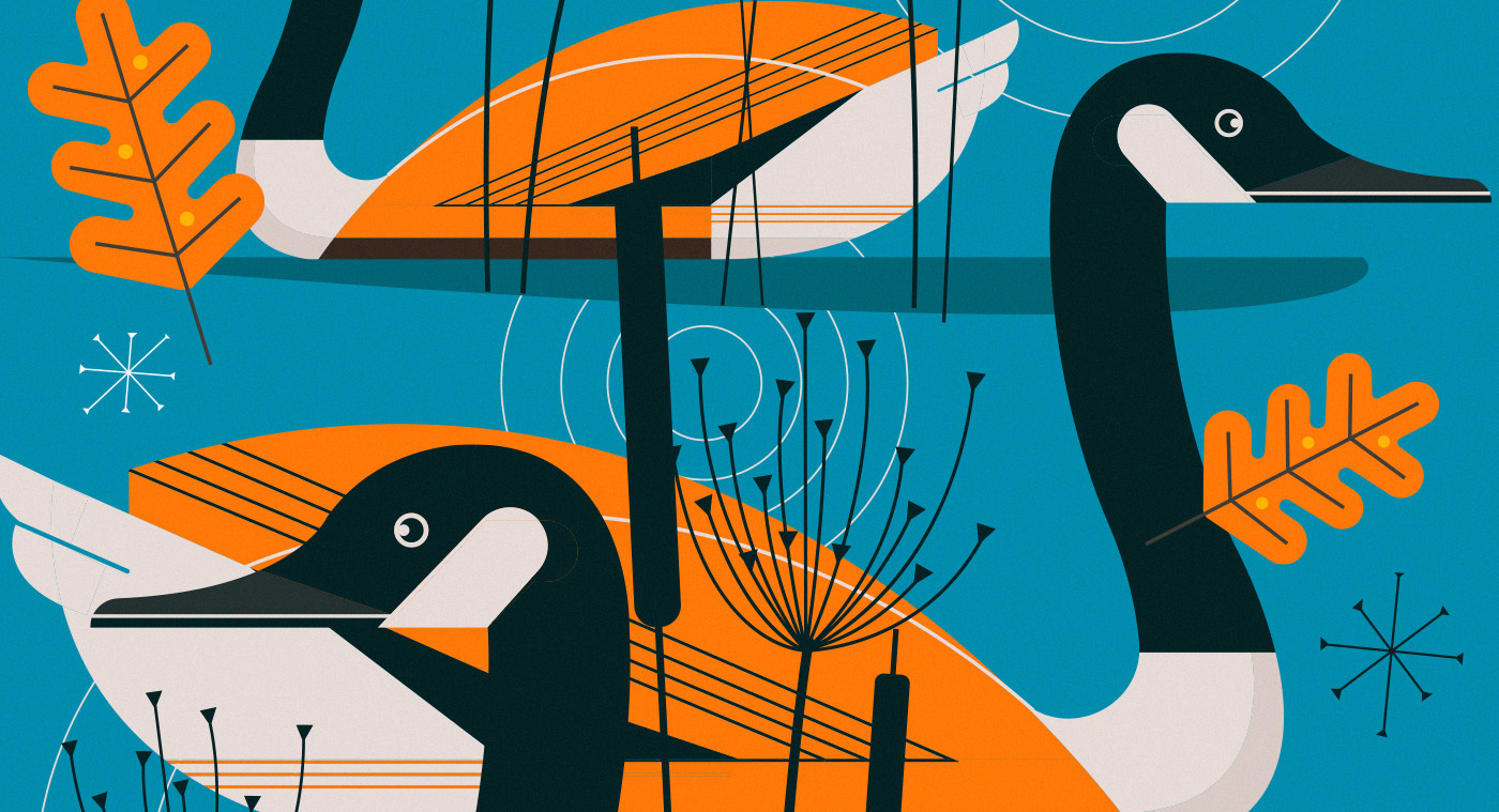 Mid Century Modern Nature Stamps