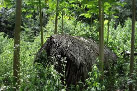 The Man of the Hole: Last Sentinel of a Silenced People