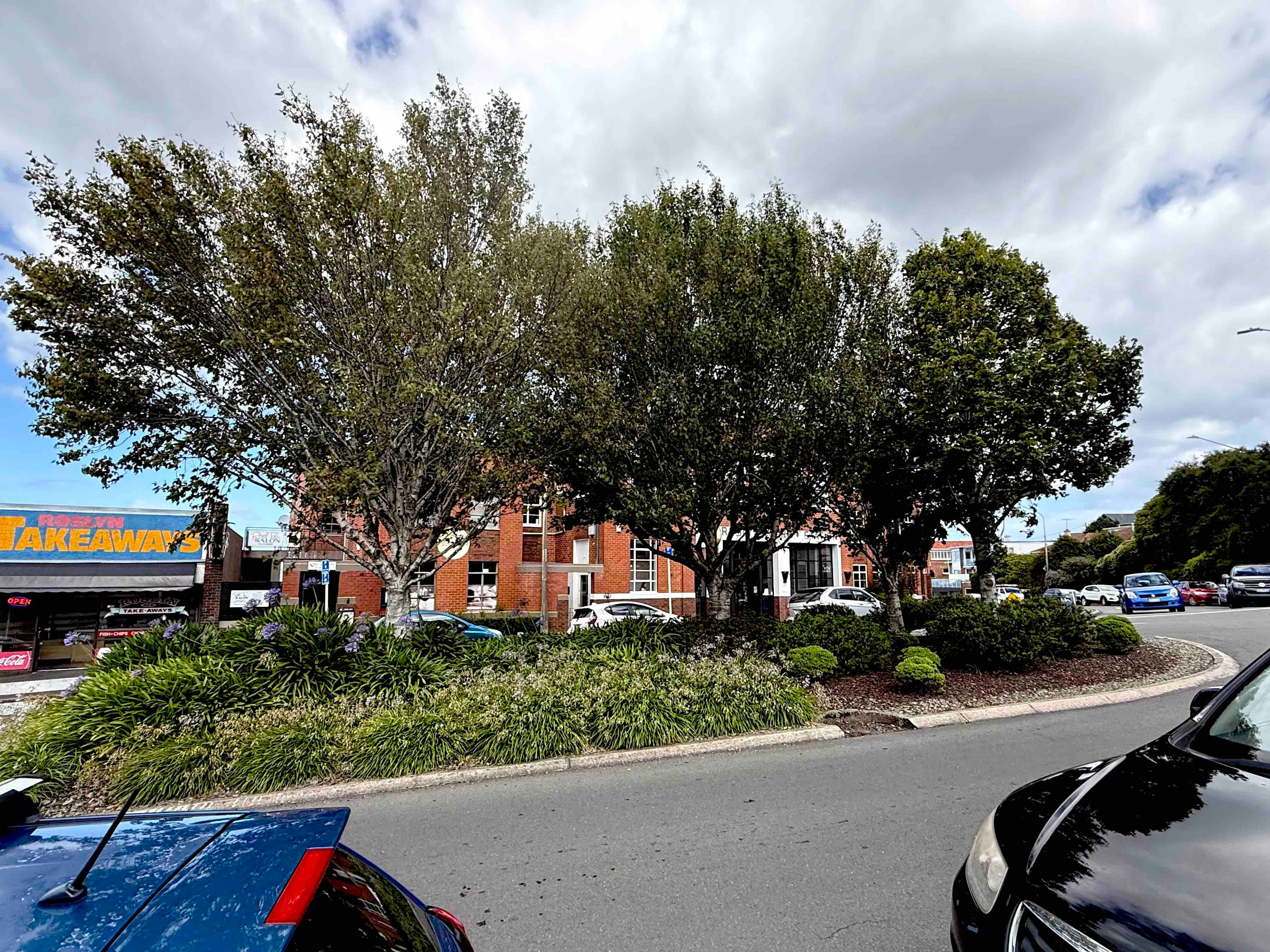 Exploring our Roslyn village greenery  