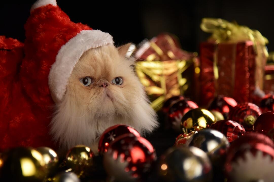 The Very Best of November