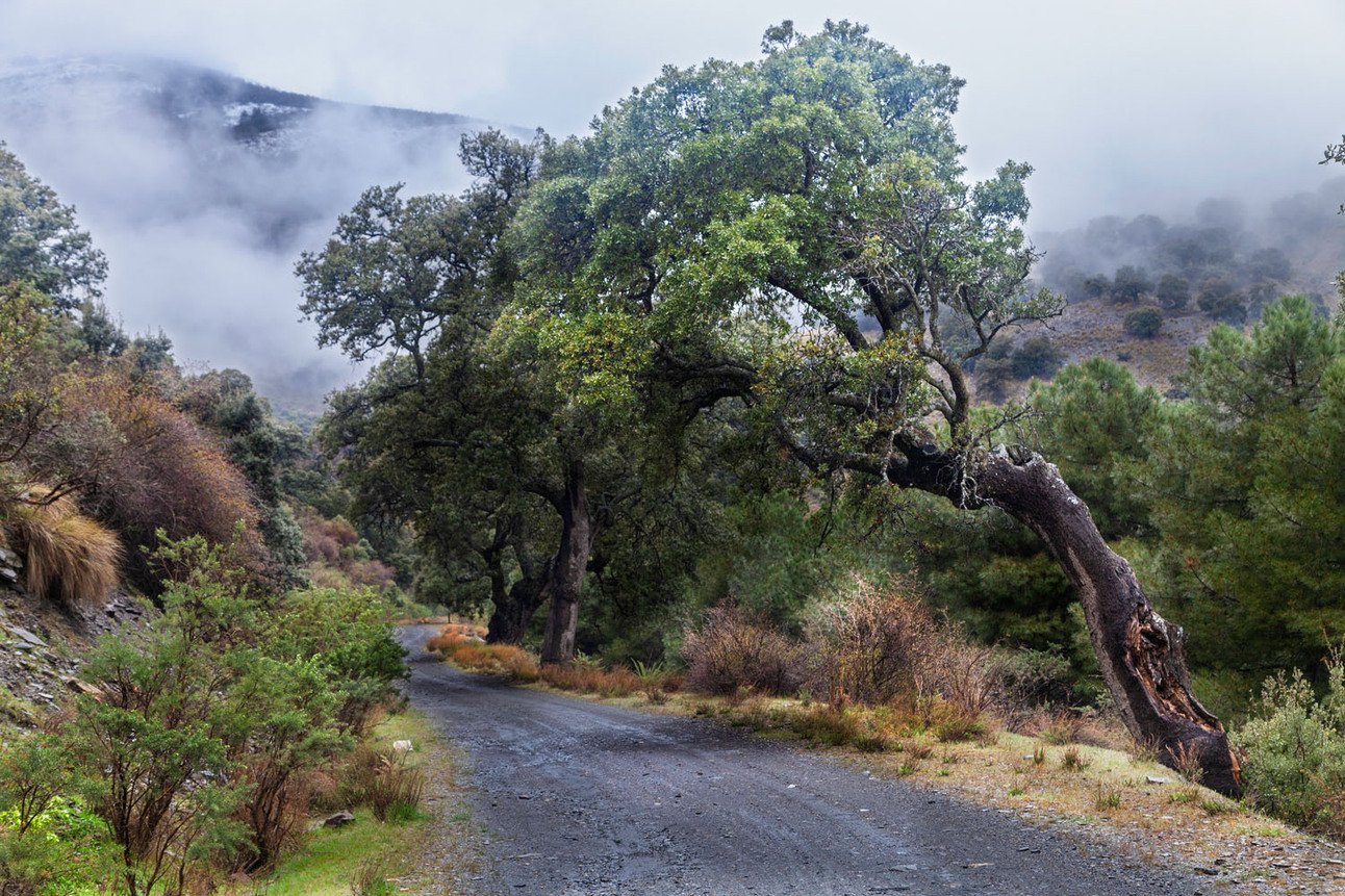 Ruta senderista por los afectados de la DANA