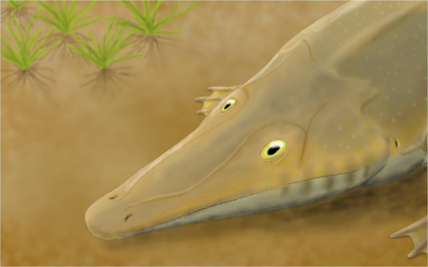 Thoosuchus and Life After Earth’s Greatest Extinction