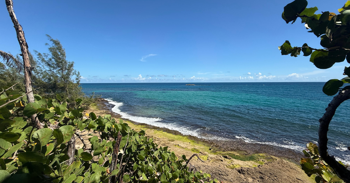 El video atrae a los consumidores primerizos de podcast.