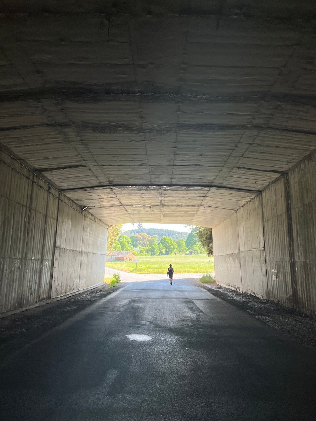 🪵 Like the great Akon once said